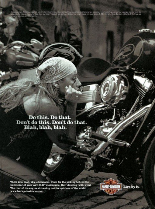 harley-davidson_do_this_do_that_2006