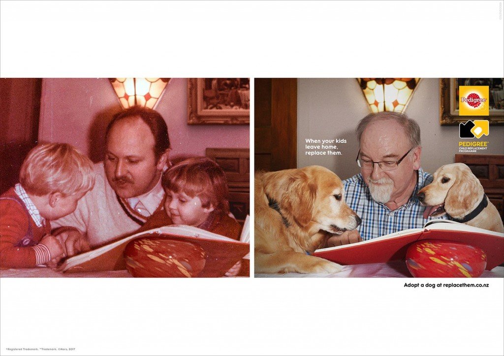 pedigree-anuncio-replace02